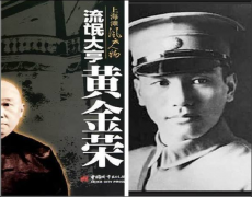 就不晓得有什么法子