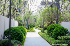 <strong>个板块的地段价值也会送来质的飞跃</strong>